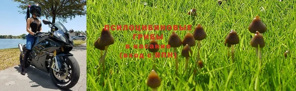 jwh Алзамай